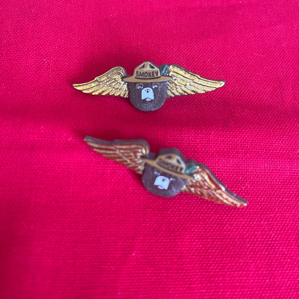 Smokey Bear Winged Pins - Picture 2 of 5
